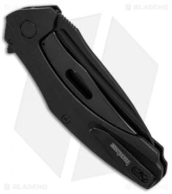 Kershaw Natrix Assisted Opening Sub-Frame Lock Knife Black G-10 (3.25" Black) -Benchmade Store Kershaw Natrix Black G10 black BHQ 80569 er side